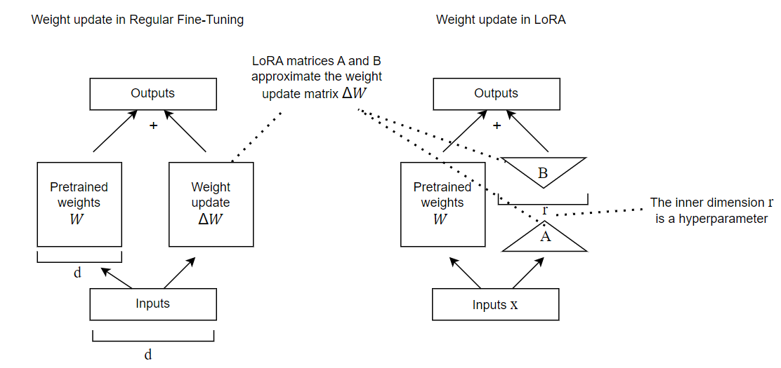 Regular Finetuning (left) & LoRA Finetuning (right)